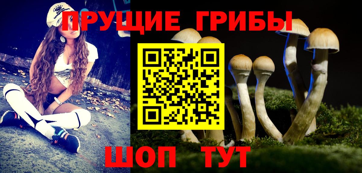 Псилоцибиновые грибы прущие грибы Истра