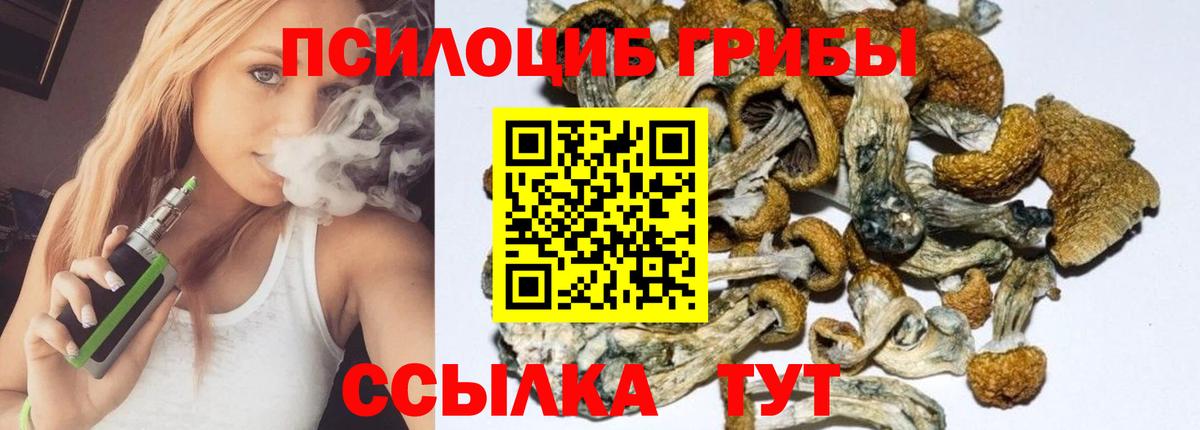 Галлюциногенные грибы Magic Shrooms  Вход с VPN  Истра  Псилоцибиновые грибы Psilocybine cubensis 